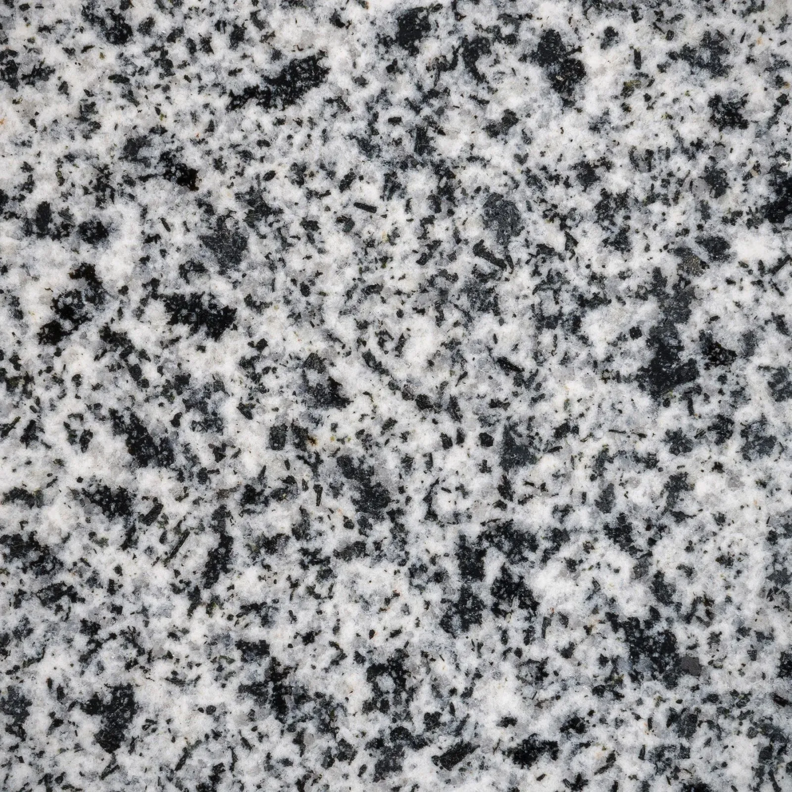 Granit bianco galaxy